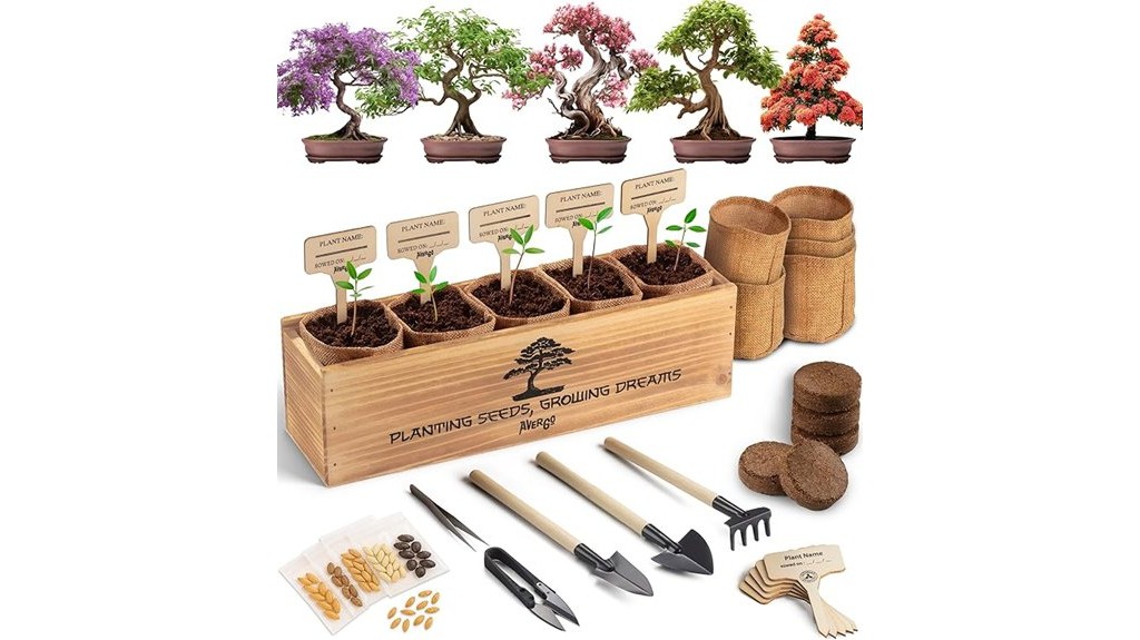 indoor bonsai growing kit